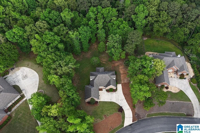 drone / aerial view