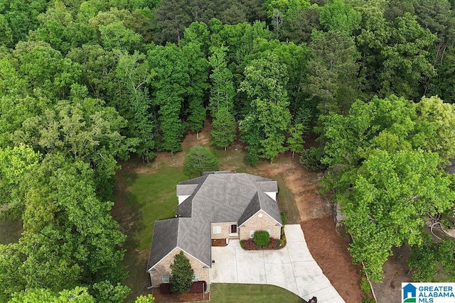 drone / aerial view