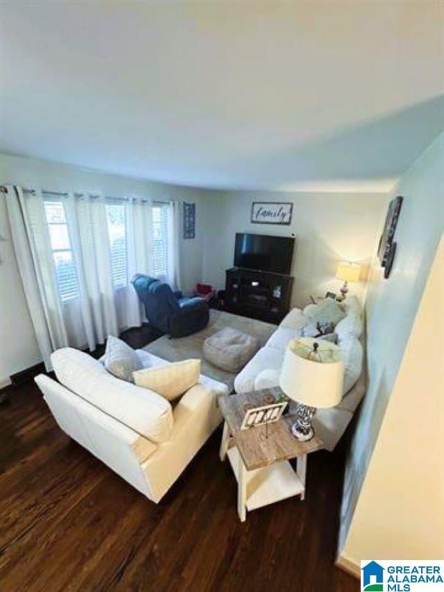 living room featuring wood finished floors
