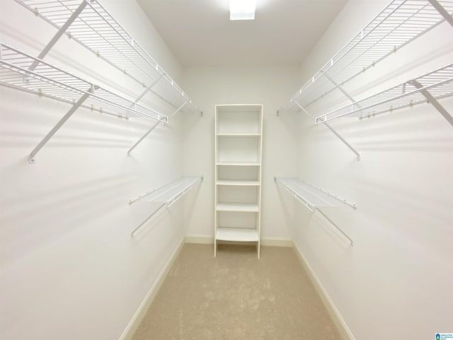 spacious closet with light carpet