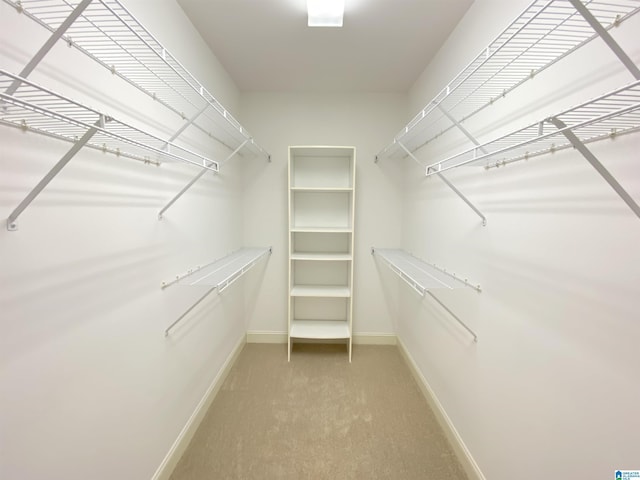 walk in closet featuring light colored carpet