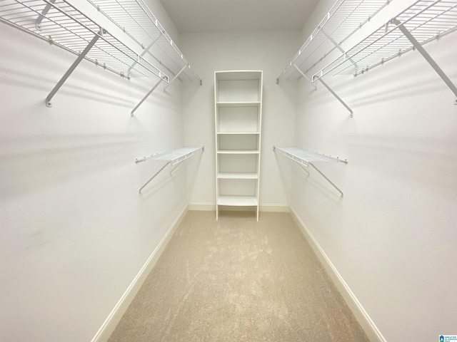 spacious closet featuring light carpet