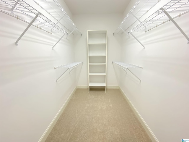 spacious closet featuring light carpet