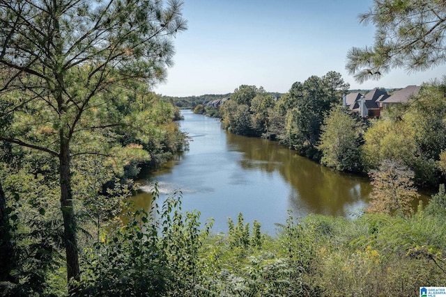 300 Stonecreek Cir, Helena, AL 35080 - water view