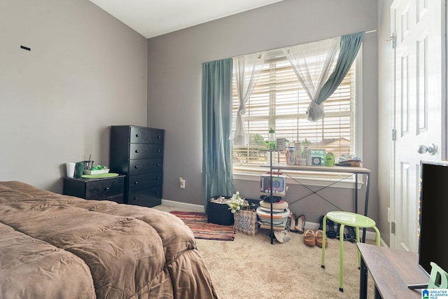 300 Stonecreek Cir, Helena, AL 35080 - bedroom with carpet and baseboards