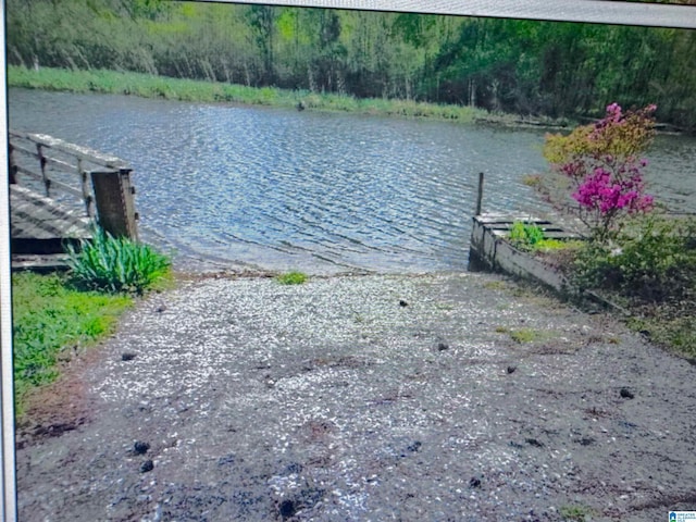 dock area featuring a water view and a view of trees