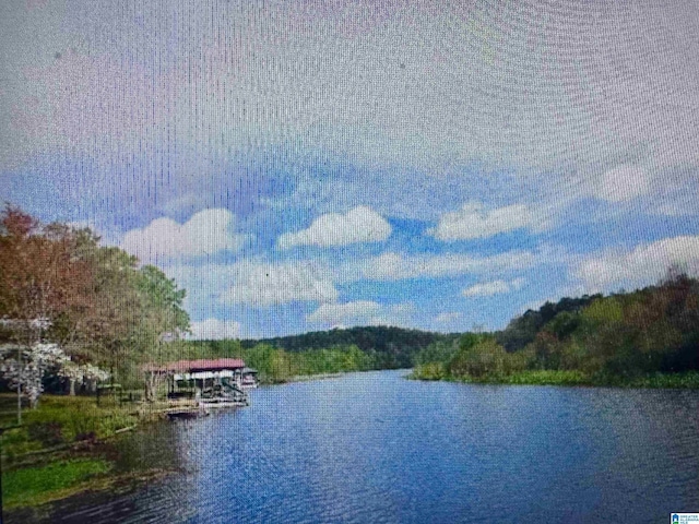 water view featuring a forest view