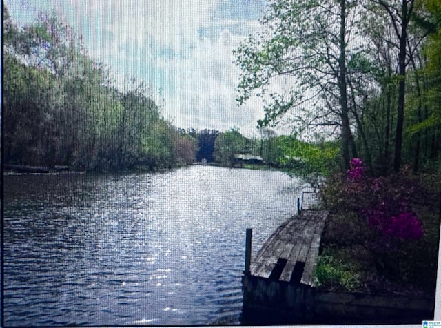 view of dock with a water view and a view of trees