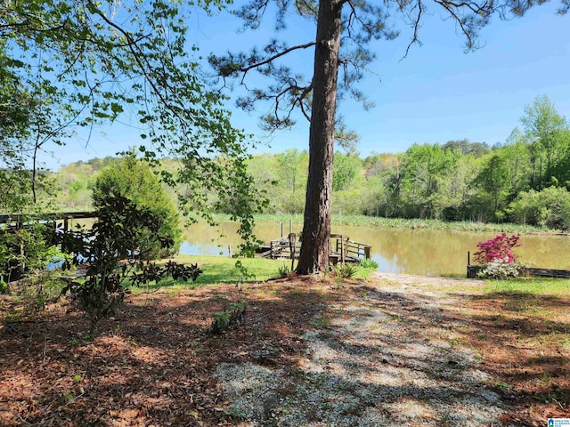 view of yard with a water view and a wooded view