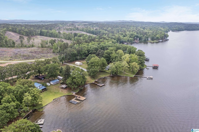 birds eye view of property featuring a water view and a view of trees