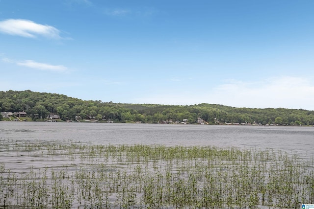 water view featuring a forest view