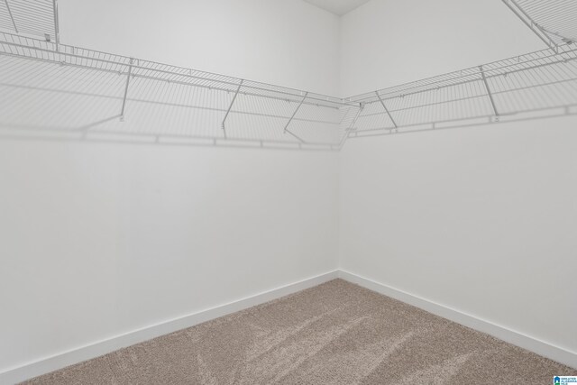 3769 Seaside Sparrow Cir, Bessemer, AL 35022 - spacious closet with carpet flooring
