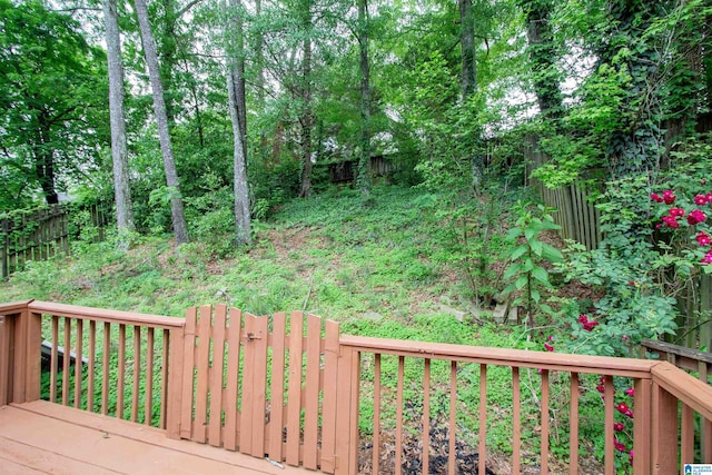 302 Old Rocky Ridge Ln, Birmingham, AL 35216 - wooden deck with a fenced backyard