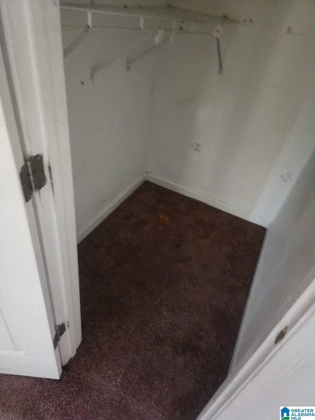 spacious closet with carpet floors