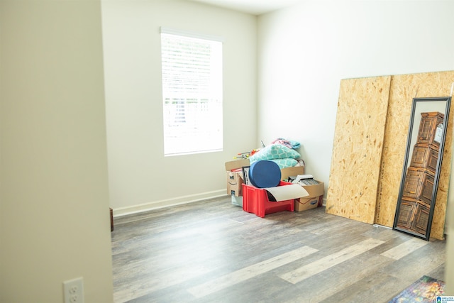 rec room featuring wood finished floors