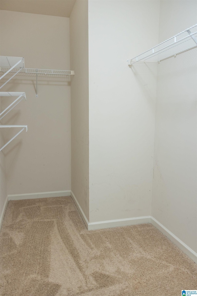 spacious closet with carpet