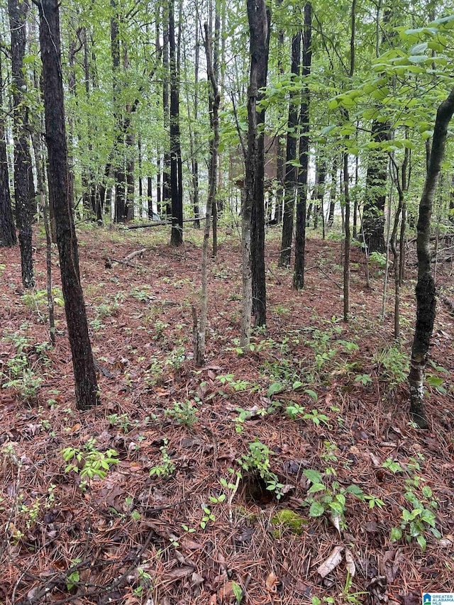 view of wooded area