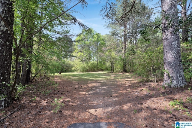 135 Hayden Springs Rd, Hayden, AL 35079 - view of nature featuring a wooded view