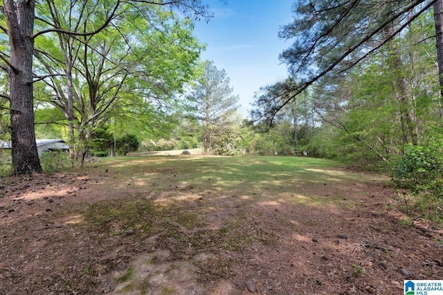 135 Hayden Springs Rd, Hayden, AL 35079 - view of yard
