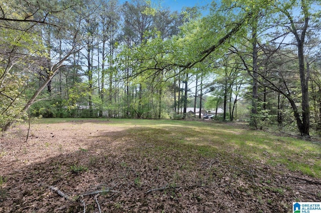 135 Hayden Springs Rd, Hayden, AL 35079 - view of yard