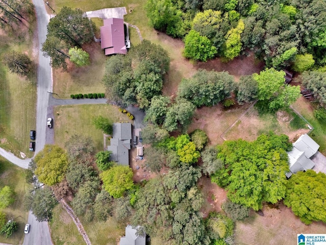 135 Hayden Springs Rd, Hayden, AL 35079 - bird's eye view