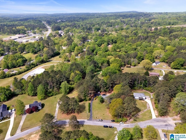 135 Hayden Springs Rd, Hayden, AL 35079 - bird's eye view with a wooded view