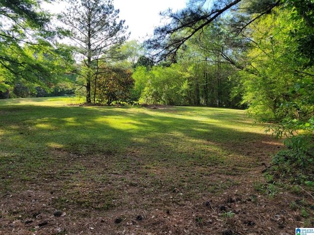 135 Hayden Springs Rd, Hayden, AL 35079 - view of yard