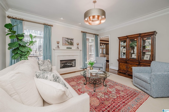 living room with ornamental molding, wood finished floors, and a fireplace