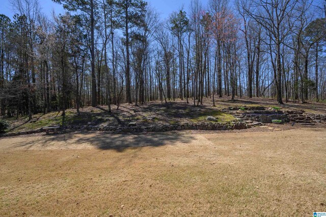 view of local wilderness