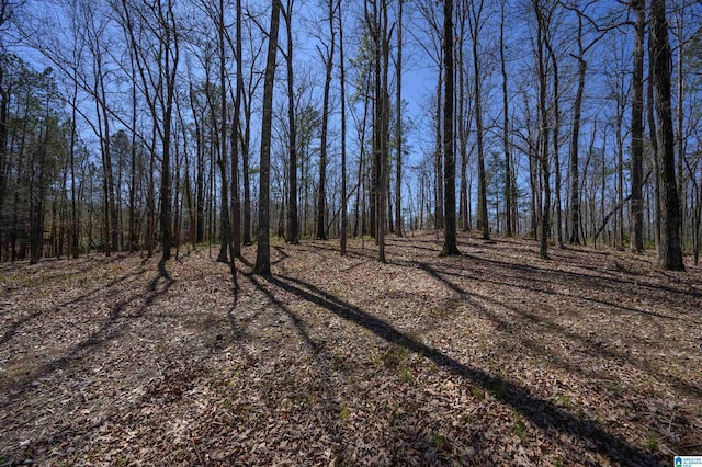 view of nature with a forest view