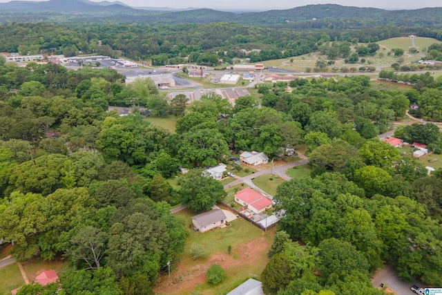 bird's eye view featuring a mountain view and a wooded view