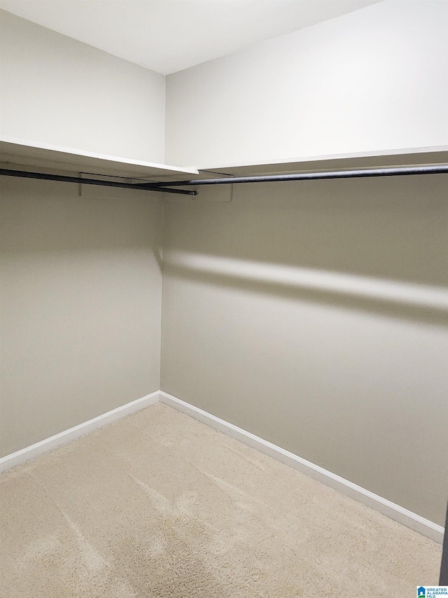 574 Turtle Creek Dr, Hoover, AL 35226 - view of walk in closet