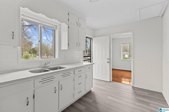kitchen featuring plenty of natural light, light wood-style floors, light countertops, and a sink