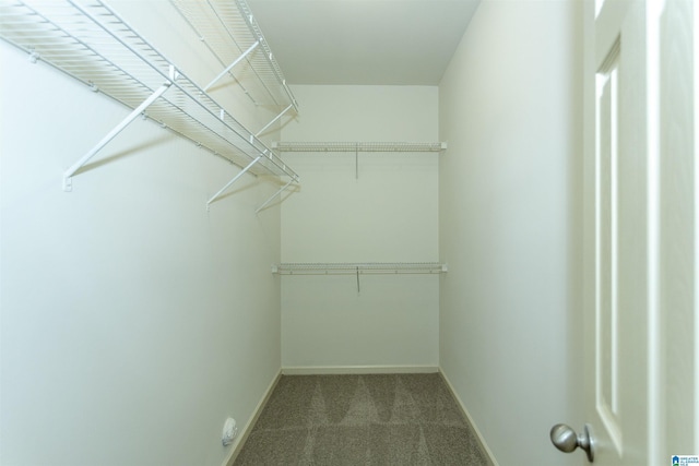 1127 Avalon Dr, Moody, AL 35004 - walk in closet with dark colored carpet