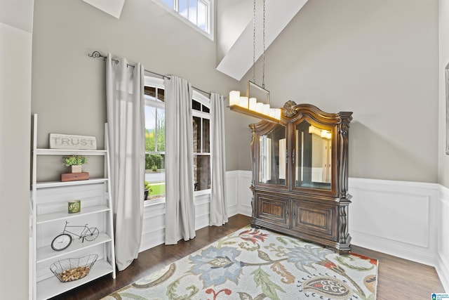 1104 Norman Way, Birmingham, AL 35242 - interior space with a wainscoted wall, wood finished floors, and a towering ceiling