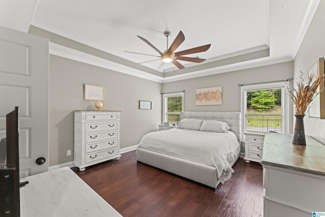 1104 Norman Way, Birmingham, AL 35242 - bedroom with a raised ceiling, multiple windows, a ceiling fan, and dark wood-type flooring