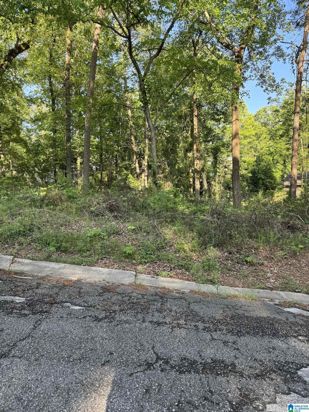 5113 Biddle Cir Lot, Lot, Mount Olive, AL 35117