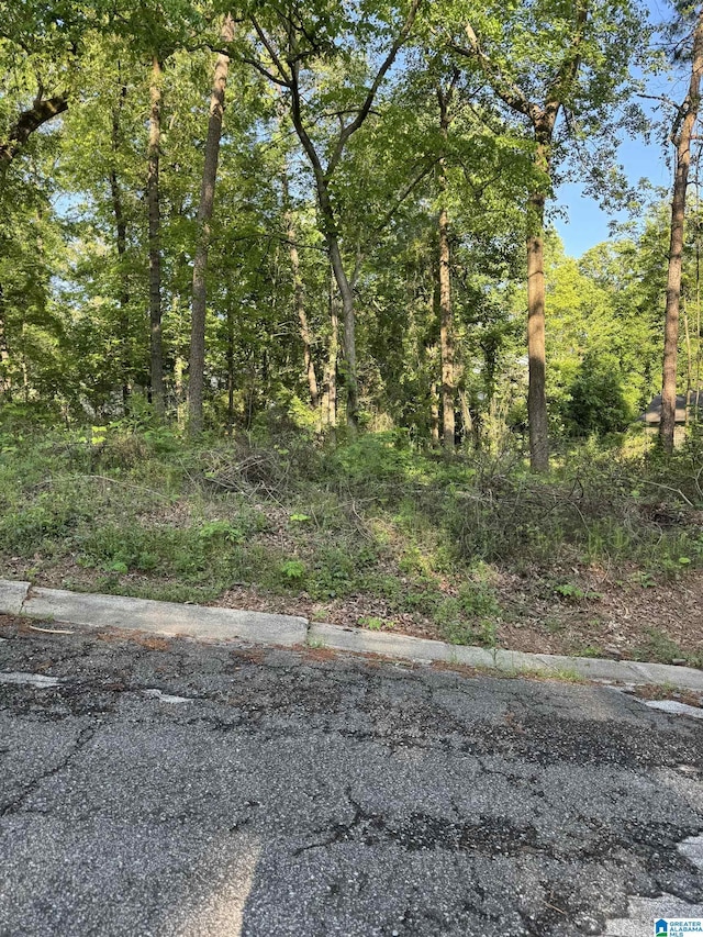 5113 Biddle Cir Lot, Lot, Mount Olive, AL 35117
