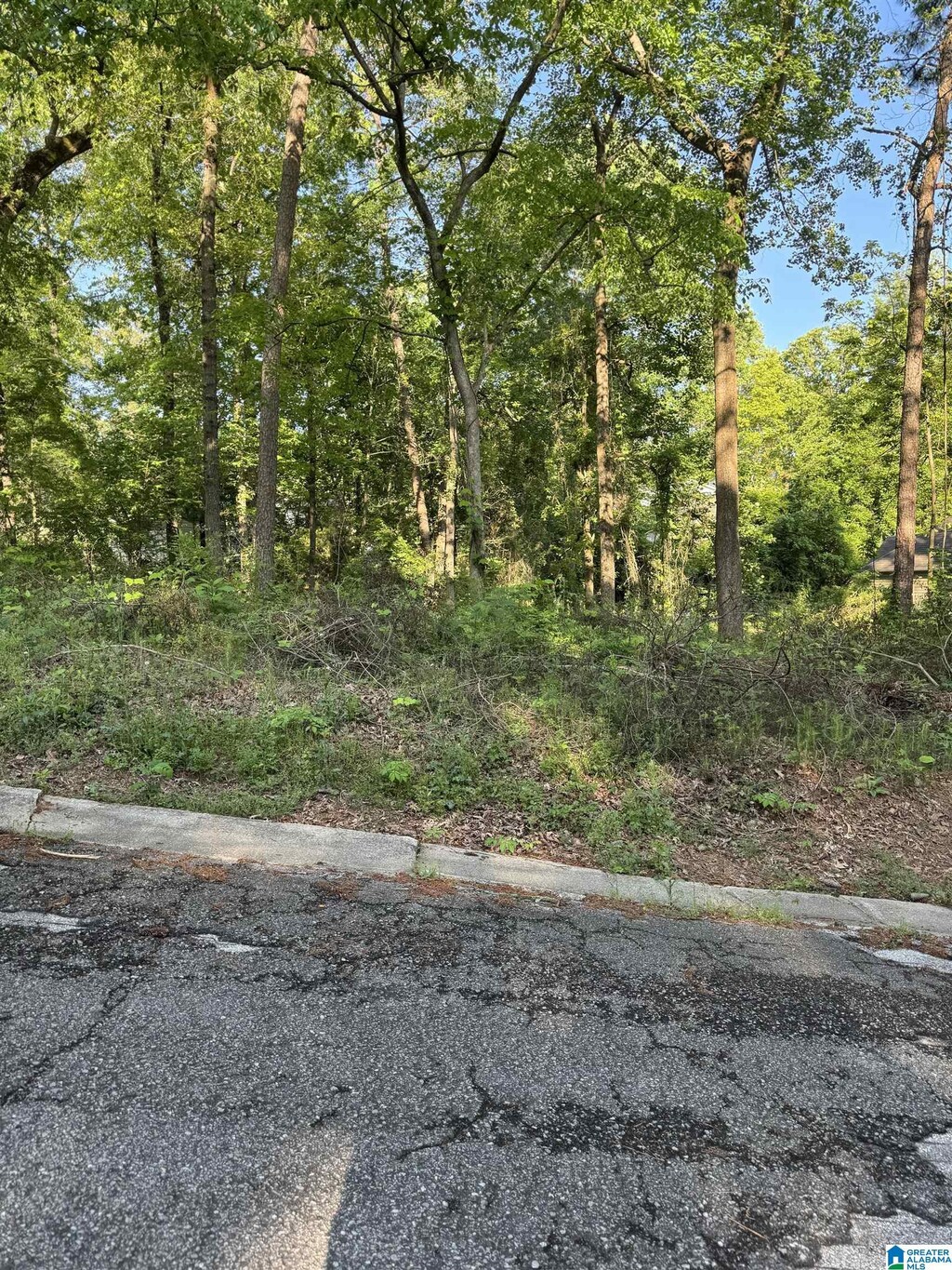 5113 Biddle Cir Lot, Lot, Mount Olive, AL 35117