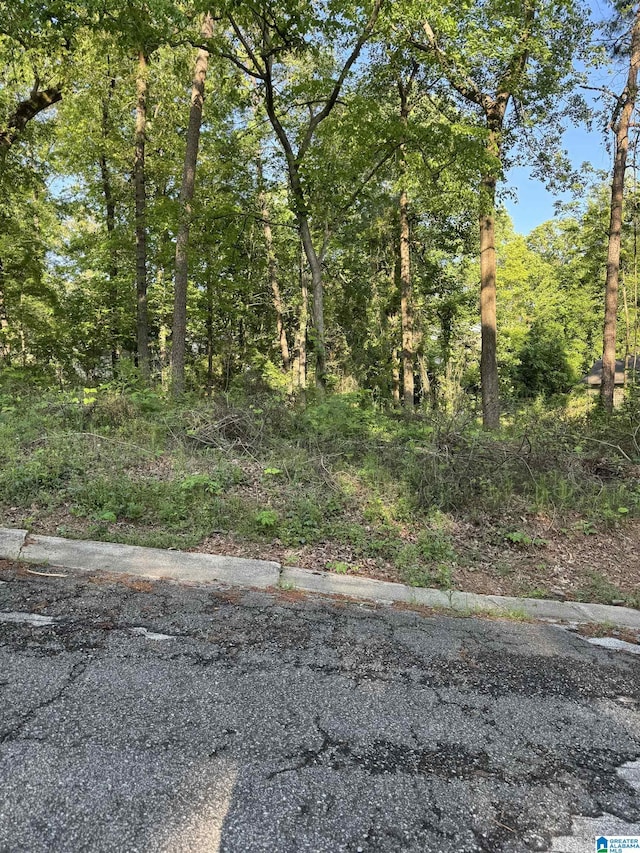 5113 Biddle Cir Lot, Lot, Mount Olive, AL 35117