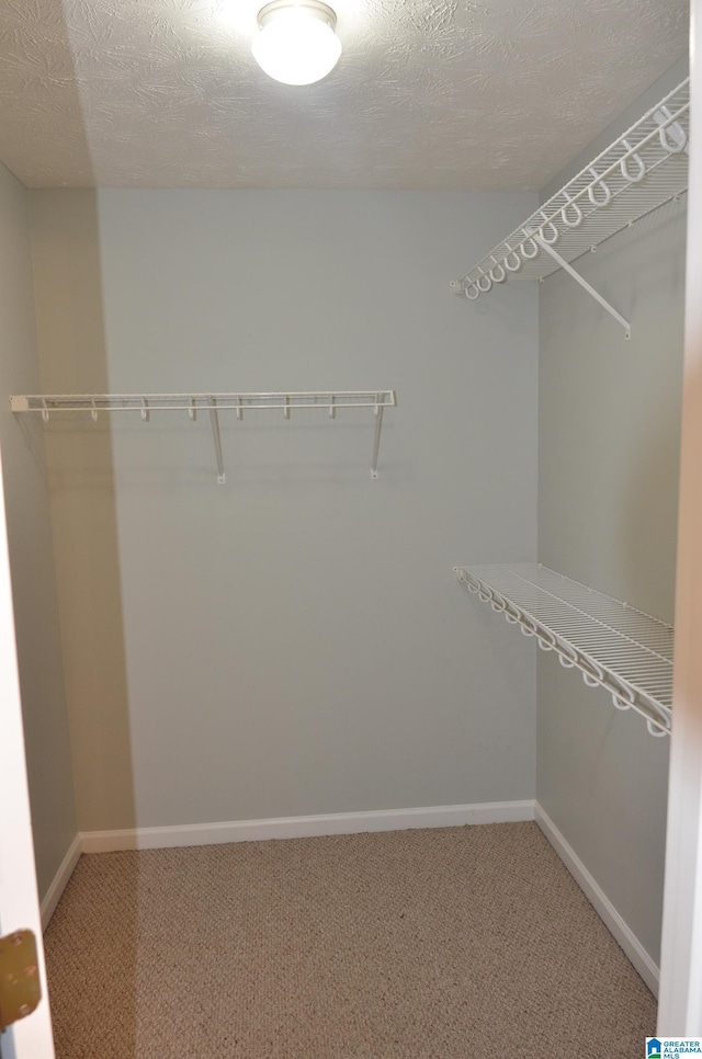 walk in closet with carpet floors