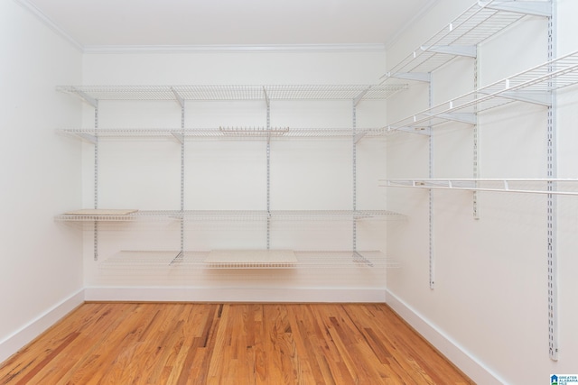 spacious closet featuring wood finished floors