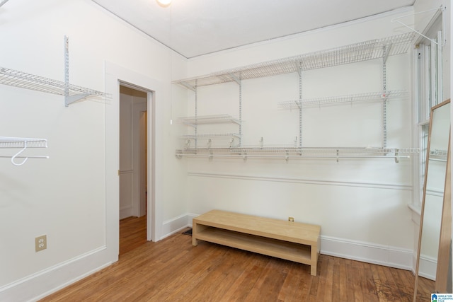 walk in closet featuring wood finished floors