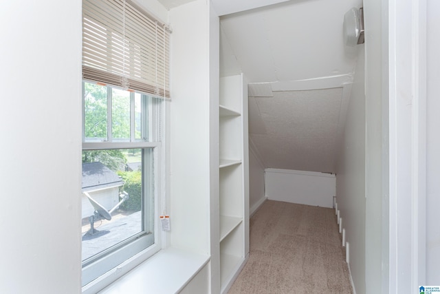 spacious closet with carpet floors