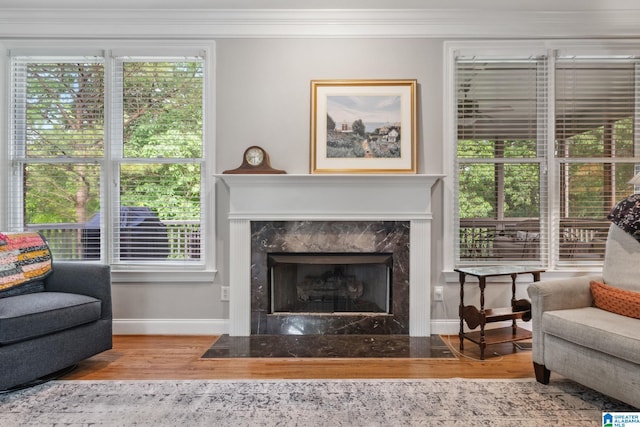 living room with crown molding, wood finished floors, baseboards, plenty of natural light, and a premium fireplace