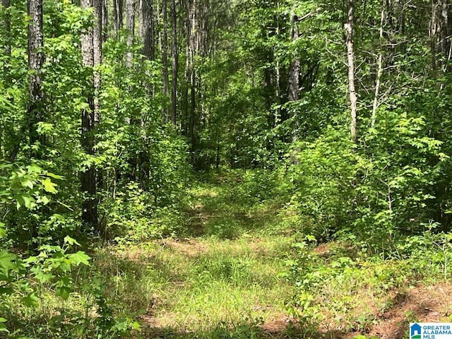 0 County Road 6 --, Unit Piedmont, AL 36272