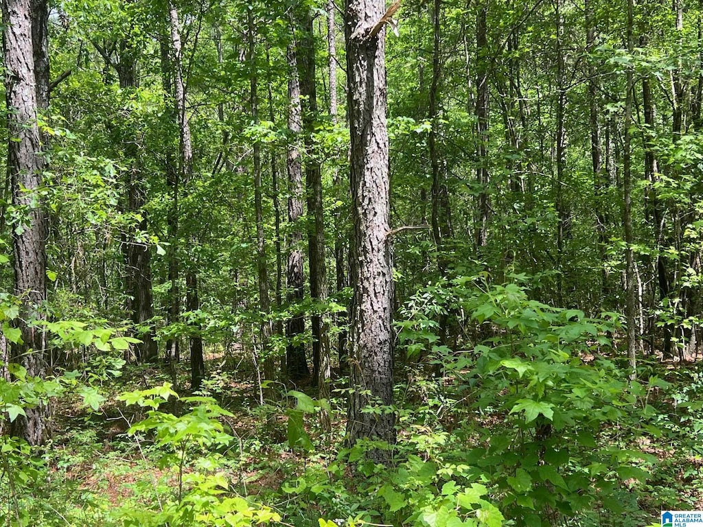 0 County Road 6 --, Unit Piedmont, AL 36272