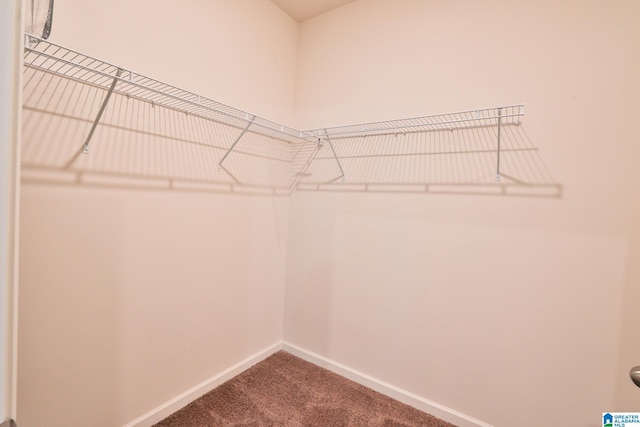 walk in closet with dark colored carpet