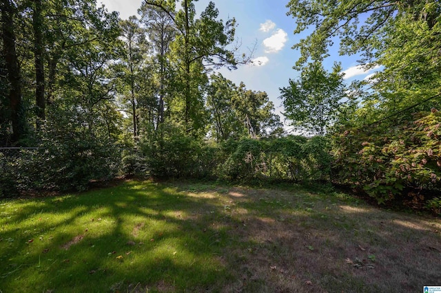 1426 Overlook Rd, Homewood, AL 35209 - view of yard