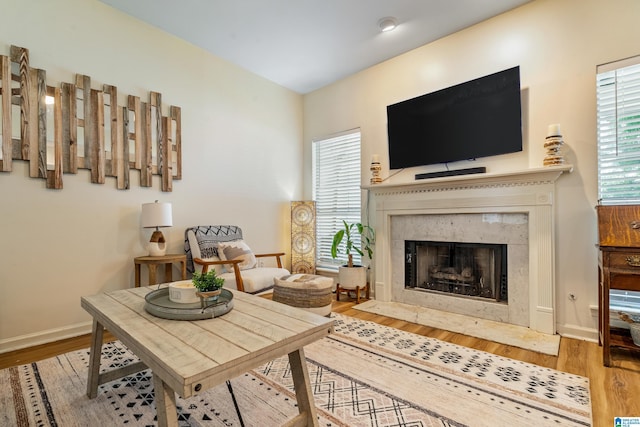 living area featuring a premium fireplace, baseboards, and wood finished floors